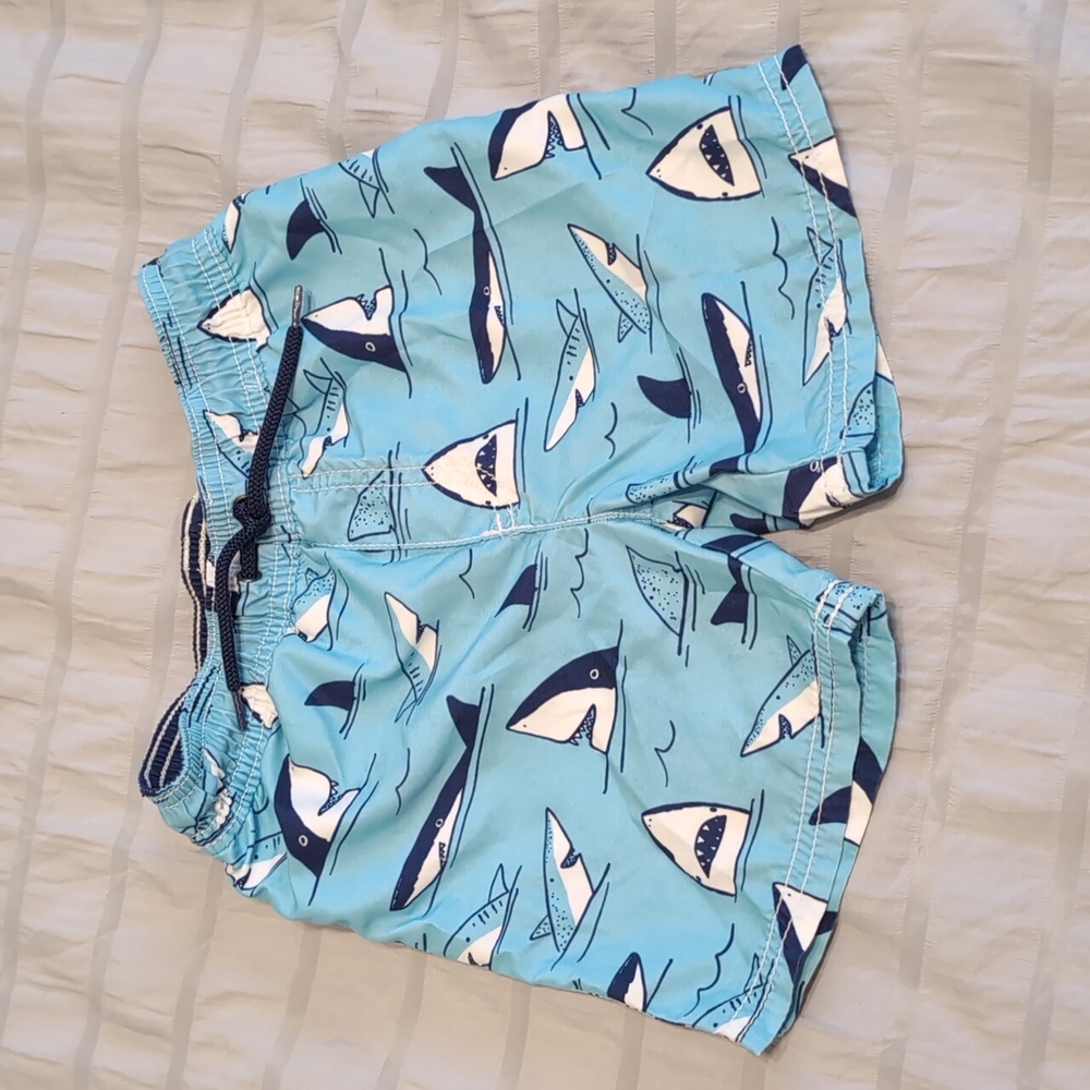 3T Swim Trunks